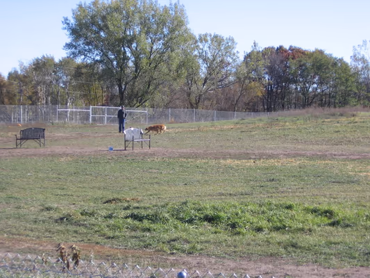 Point Dog Park